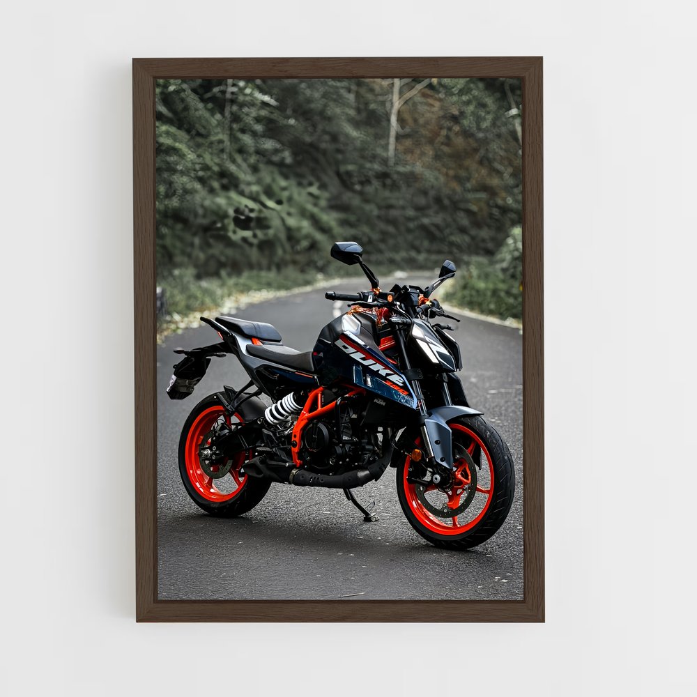 Poster Roadster 390 – affiche KTM Moto (vue 5)